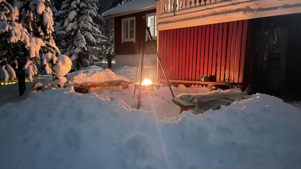 Mountain Cabin Lofsdalen Eksteriør billede