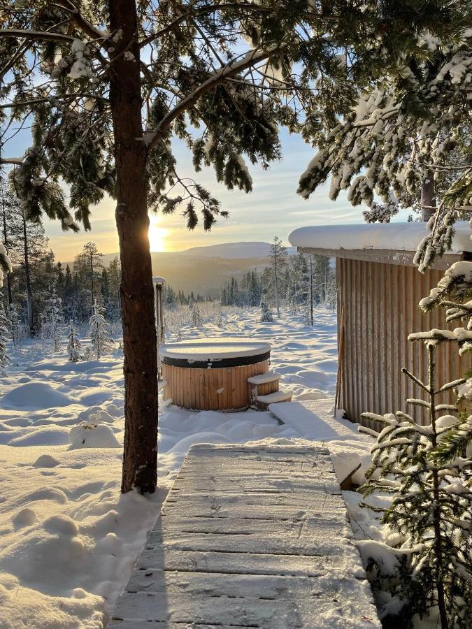 Mountain Cabin Lofsdalen Eksteriør billede