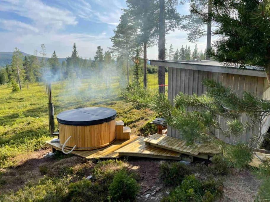 Mountain Cabin Lofsdalen Eksteriør billede