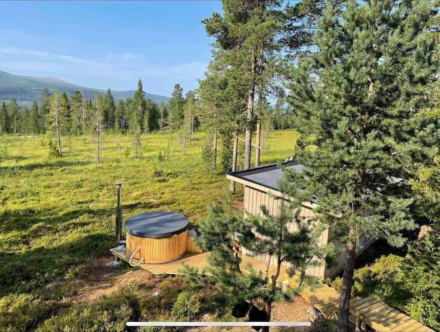 Mountain Cabin Lofsdalen Eksteriør billede