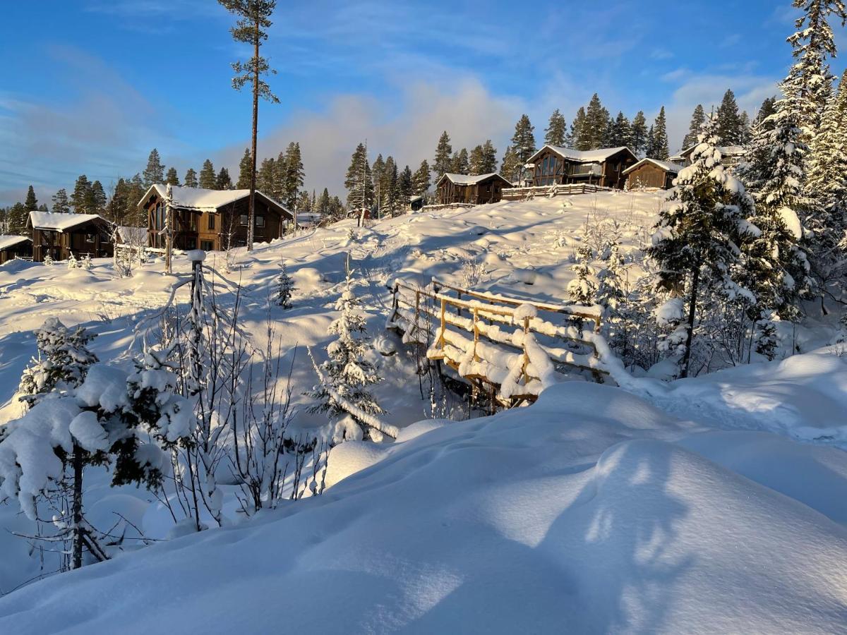 Mountain Cabin Lofsdalen Eksteriør billede