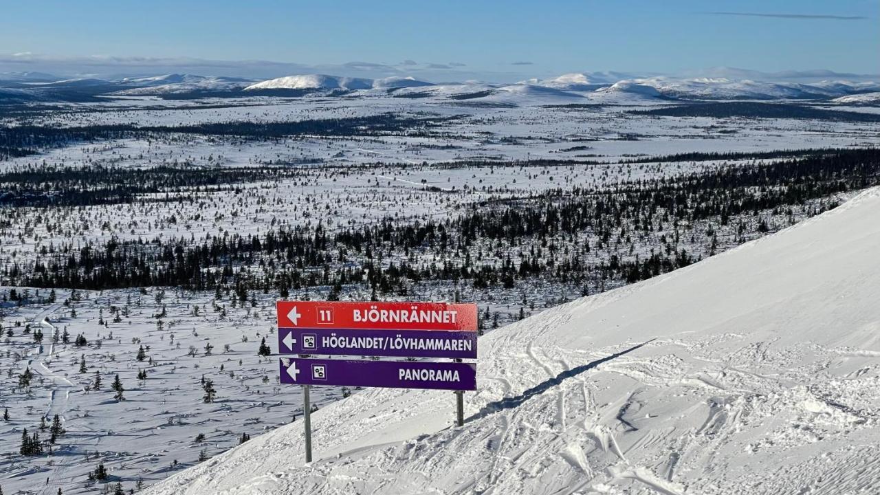 Mountain Cabin Lofsdalen Eksteriør billede