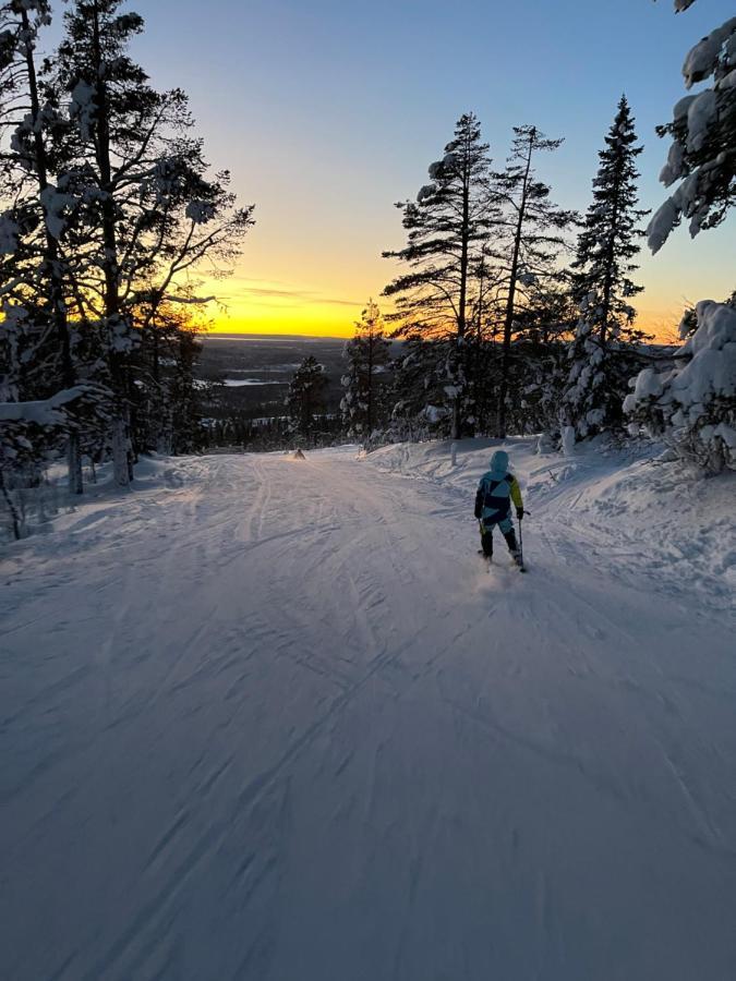 Mountain Cabin Lofsdalen Eksteriør billede