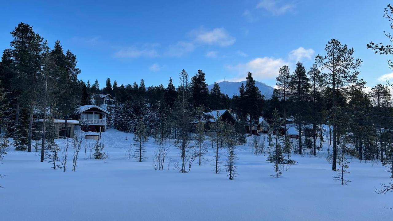 Mountain Cabin Lofsdalen Eksteriør billede