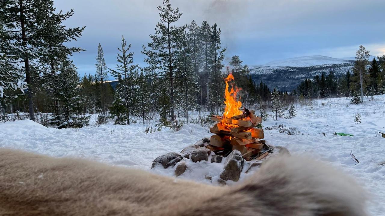 Mountain Cabin Lofsdalen Eksteriør billede